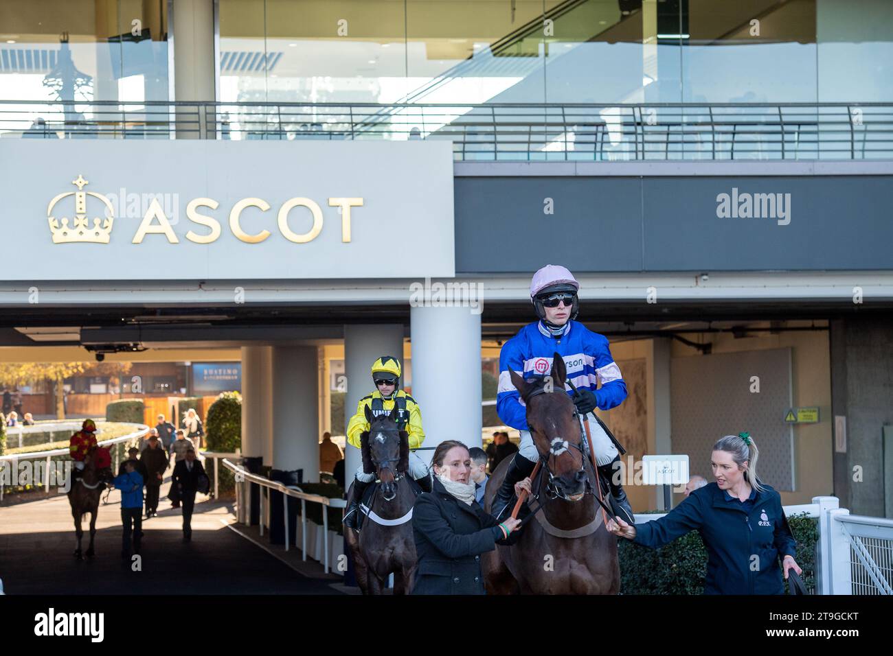 Ascot, Berkshire, Royaume-Uni. 25h novembre 2023. Horse pic d’Orhy monté par le jockey Harry Cobden se dirige vers l’hippodrome avant de remporter le Nirvana Spa 1965 Steeple Chase lors du November Racing Saturday Meeting à l’hippodrome d’Ascot. Propriétaire Mme Johnny de la Hey. Entraîneur Paul Nicholls, Ditcheat. Éleveur J Contour Career & y Broca. Sponsor Morson Group. Crédit : Maureen McLean/Alamy Live News Banque D'Images