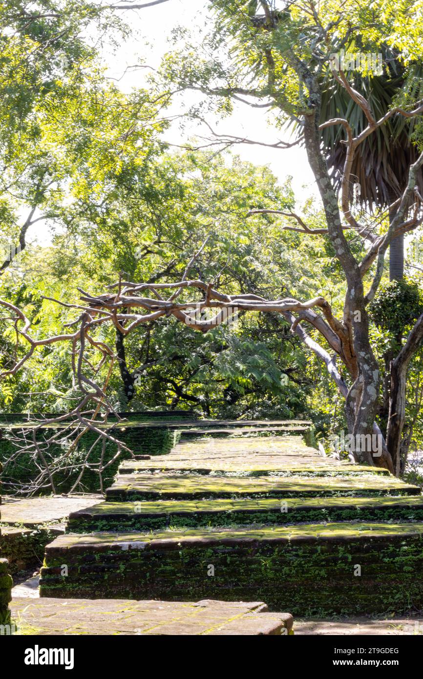 Ruines à Polonnaruwa, Sri Lanka Banque D'Images