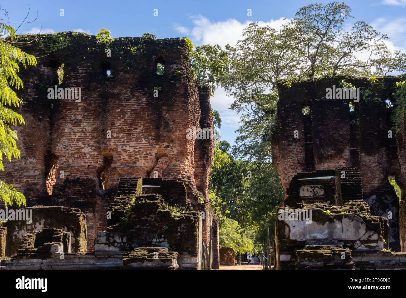 Ruines à Polonnaruwa, Sri Lanka Banque D'Images