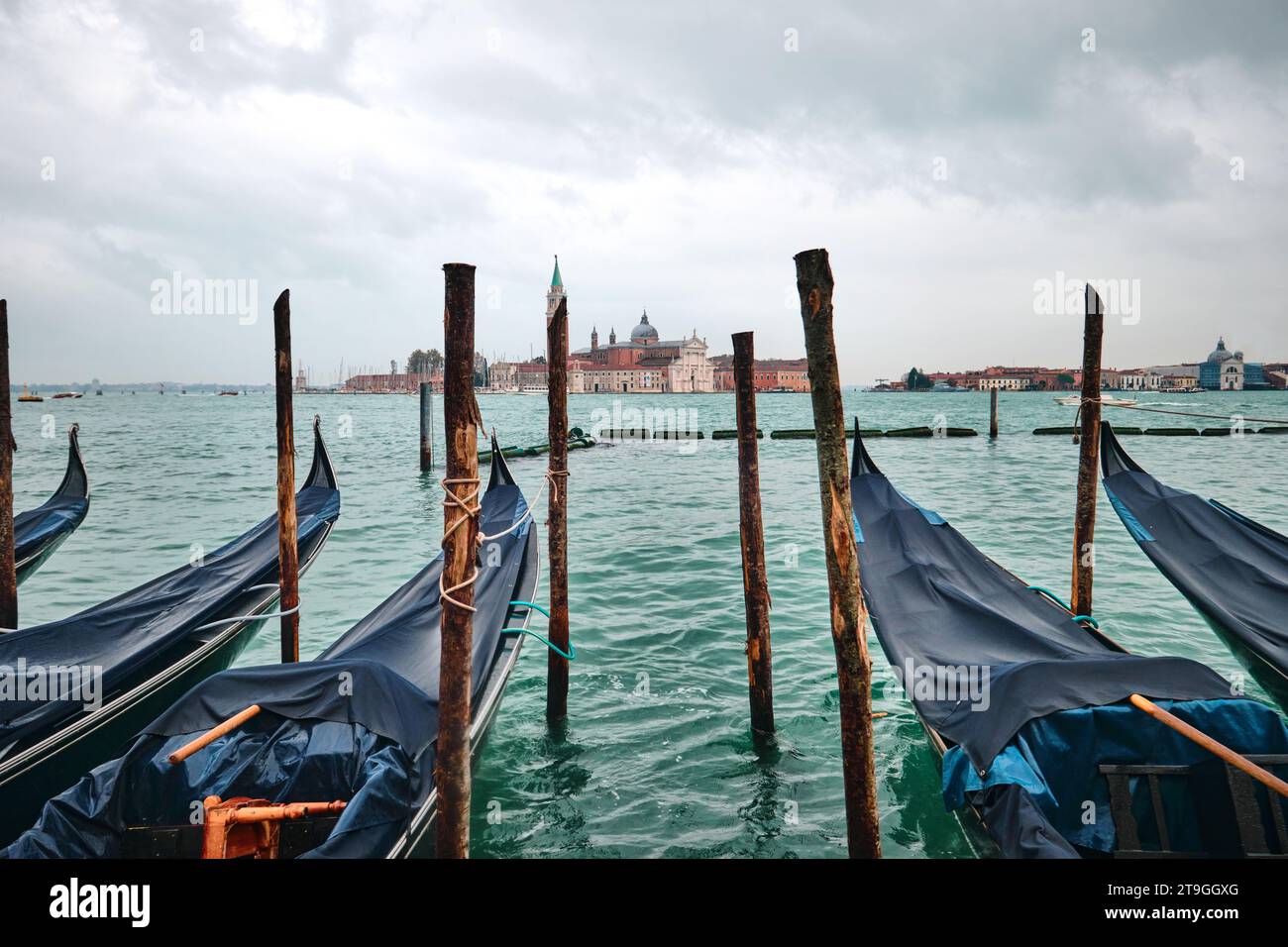Venise, Italie - novembre 9 2023 : gondoles traditionnelles avec le clocher de l'église Saint Giorgio Maggiore en arrière-plan, vue depuis San Marco Banque D'Images