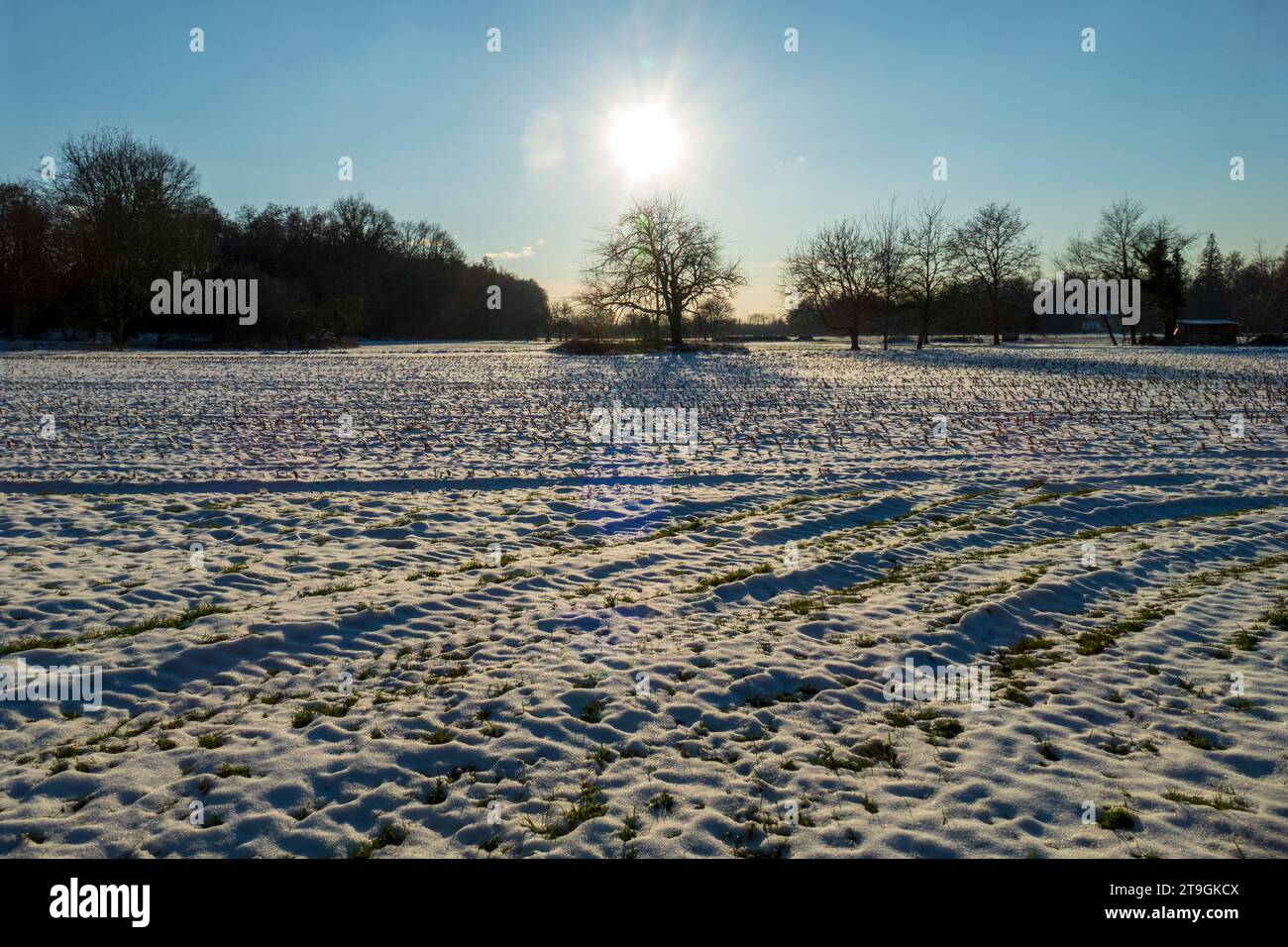 Sonnenuntergang auf einer verschneiten Wiese nähe Baden-Baden Banque D'Images