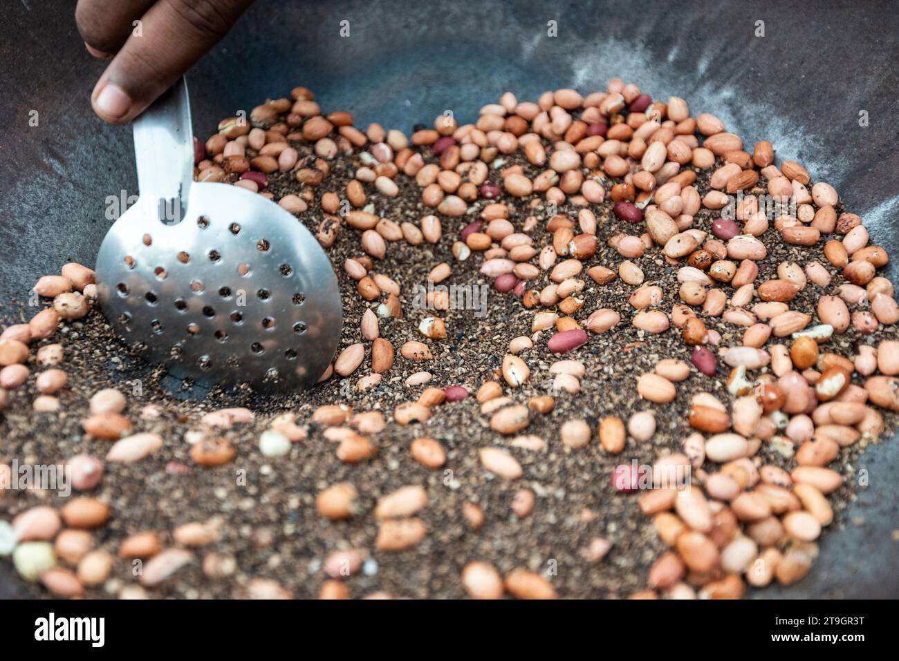 Un vendeur vend des noix grillées chaudes à vendre à partir d'une grande casserole à Galle au Sri Lanka Banque D'Images