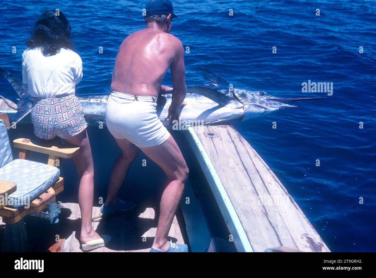 BAJA CALIFORNIA, MEXIQUE - JUIN 1962 : l'acteur et ancien joueur de baseball Chuck Connors (1921-1992) et l'actrice fiancée Kamala Devi (1934-2010) tirent un makaire sur le bateau lors d'un voyage de pêche vers juin 1962 à Baja California, Mexique. (Photo de Hy Peskin) *** Légende locale *** Kamala Devi;Chuck Connors Banque D'Images