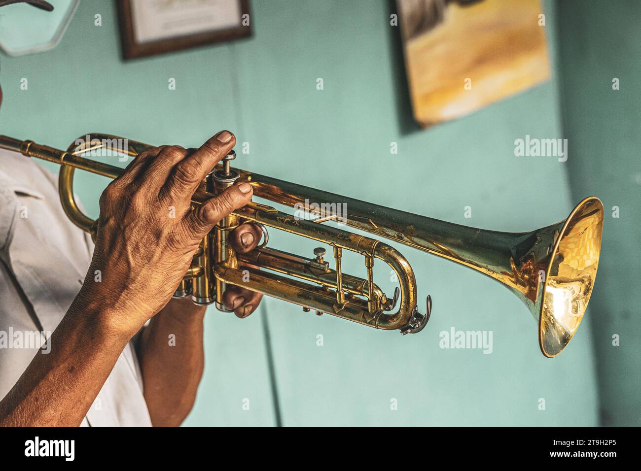 Mariachi playing trumpet Banque de photographies et d'images à haute  résolution - Alamy