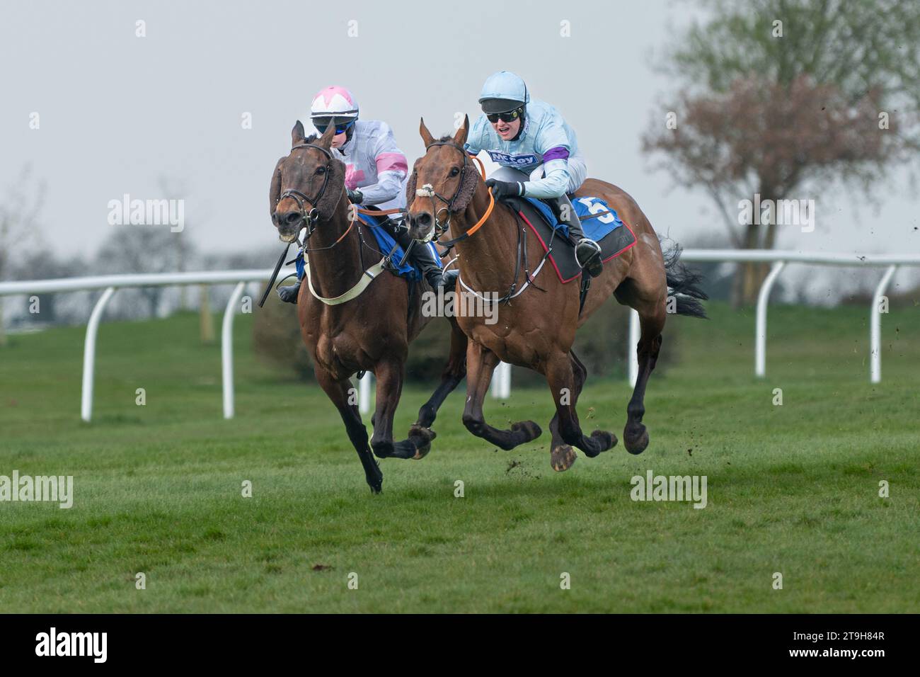 The Raven's Return et Salley Gardens à Wincanton Banque D'Images