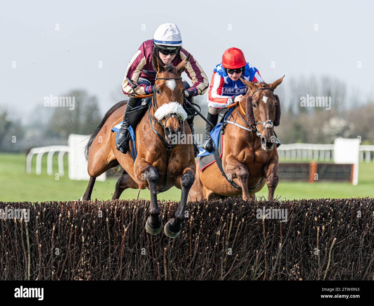 Maliboo en tête du dernier à Wincanton Banque D'Images