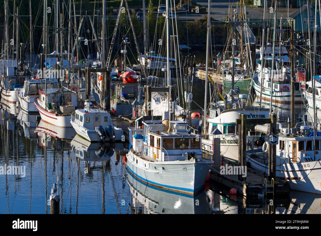 Navires commerciaux et de plaisance amarrés au port/port de plaisance d'Ucluelet, côte ouest de l'île de Vancouver, Colombie-Britannique, Canada pris du centre de villégiature Waters Edge. Banque D'Images