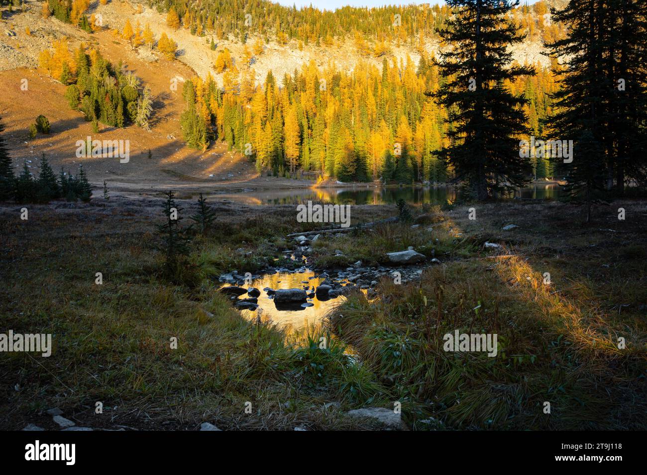 WA23763-00...WASHINGTON - soirée d'automne au lac Boiling dans la forêt nationale d'Okanogan. Banque D'Images