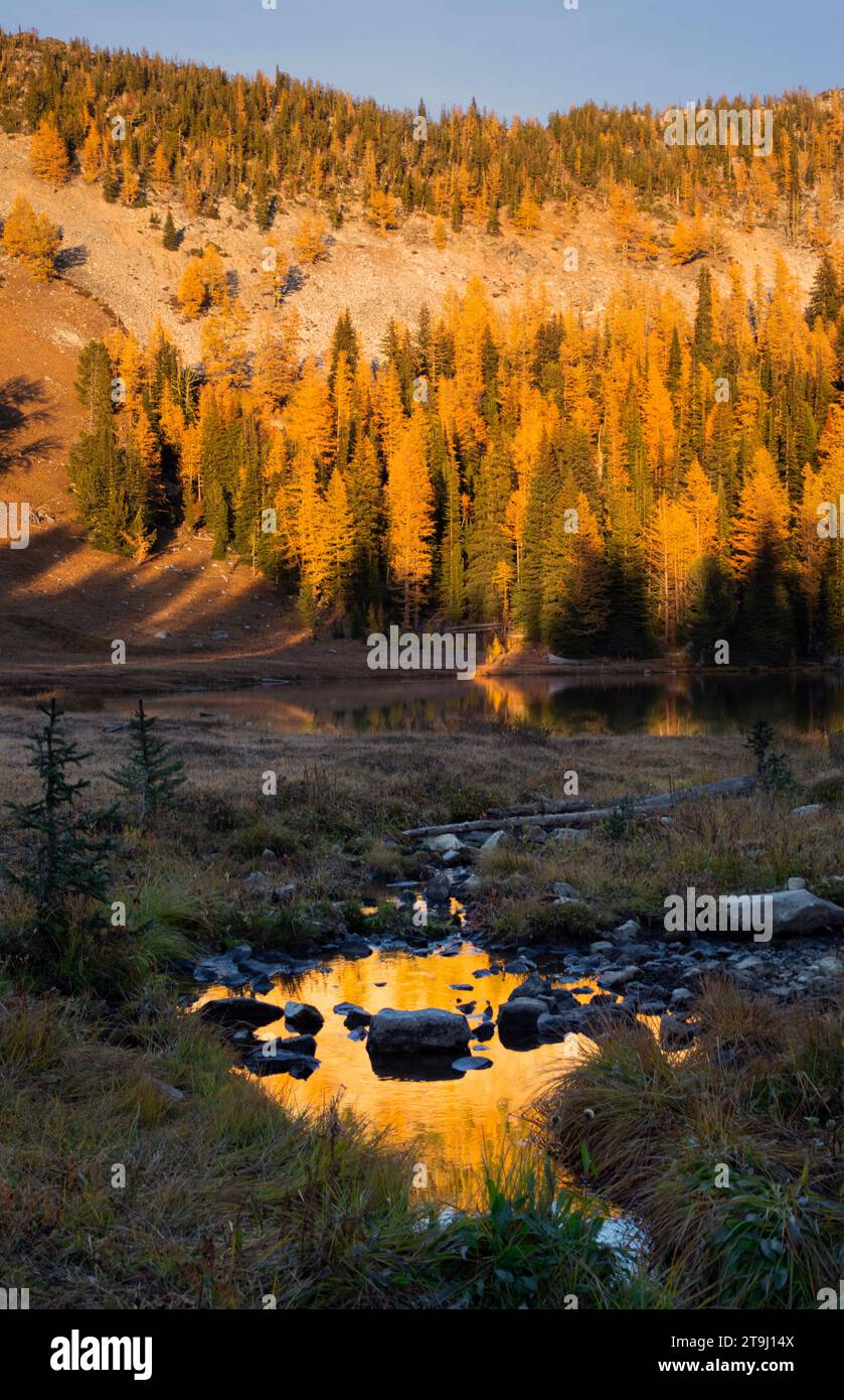 WA23764-00...WASHINGTON - soirée d'automne au lac Boiling dans la forêt nationale d'Okanogan. Banque D'Images