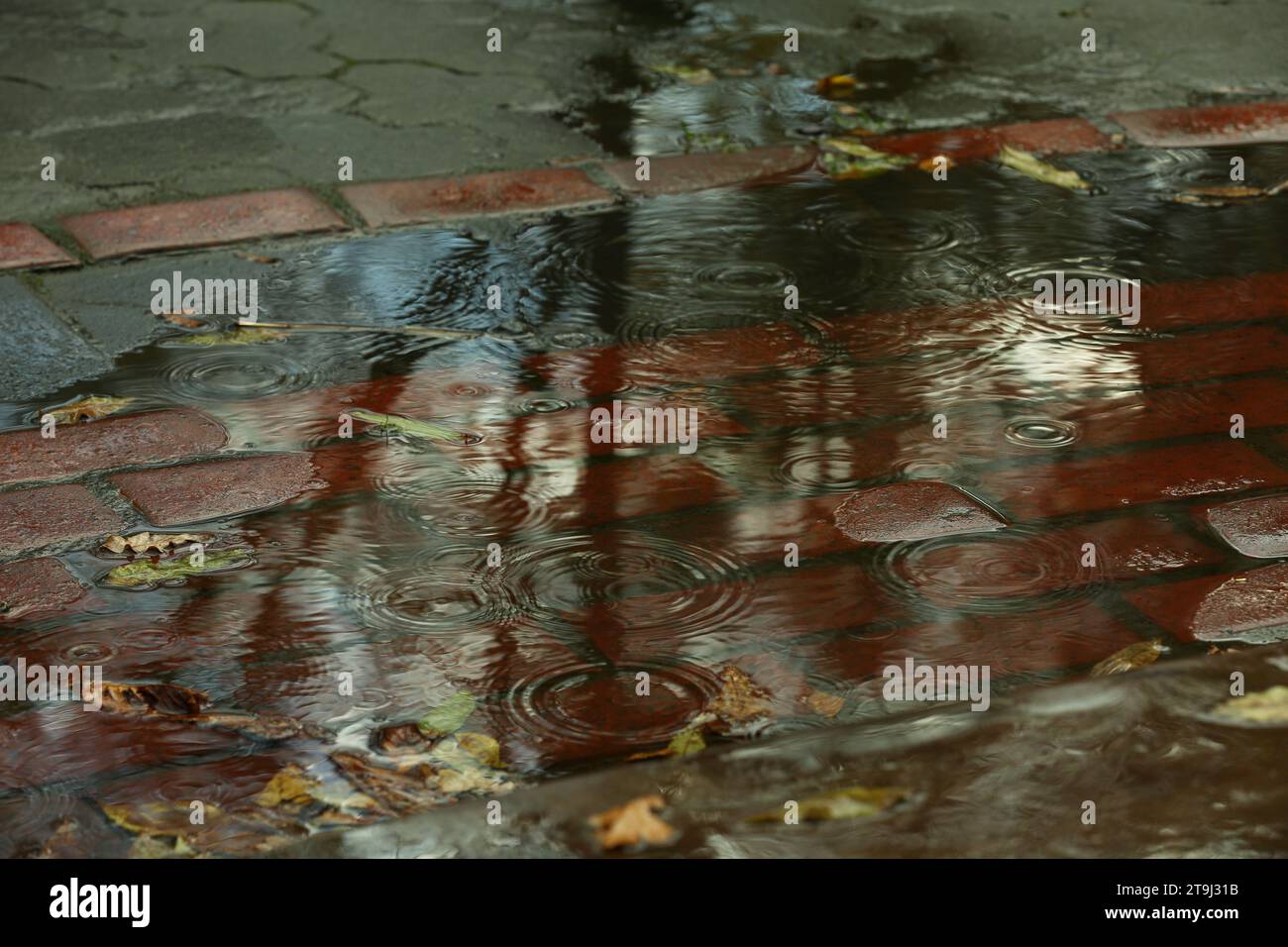 Flaque d'eau ondulée et feuilles tombées sur le chemin après la pluie Banque D'Images