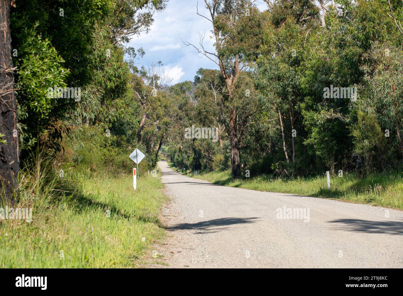 Route de campagne sans circulation à Tonimbuk Victoria Australie avec des gommiers sur une journée ensoleillée. Banque D'Images