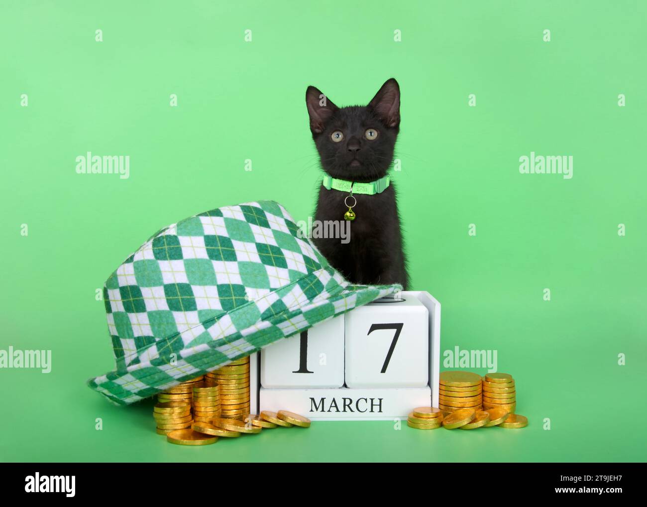 Adorable chaton noir portant un col vert assis derrière des blocs de calendrier avec date de vacances pour la Saint Patrick, le 17 mars. Entouré de piles Banque D'Images