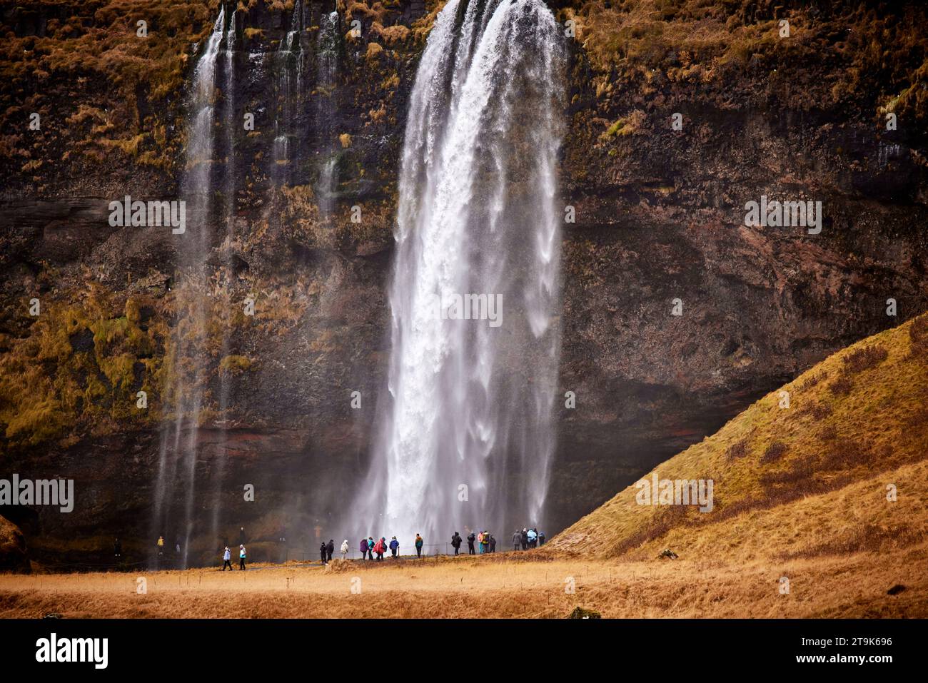 Islande chute d'eau Seljalandsfoss avec sa cascade de 196 pieds (60 m) Banque D'Images