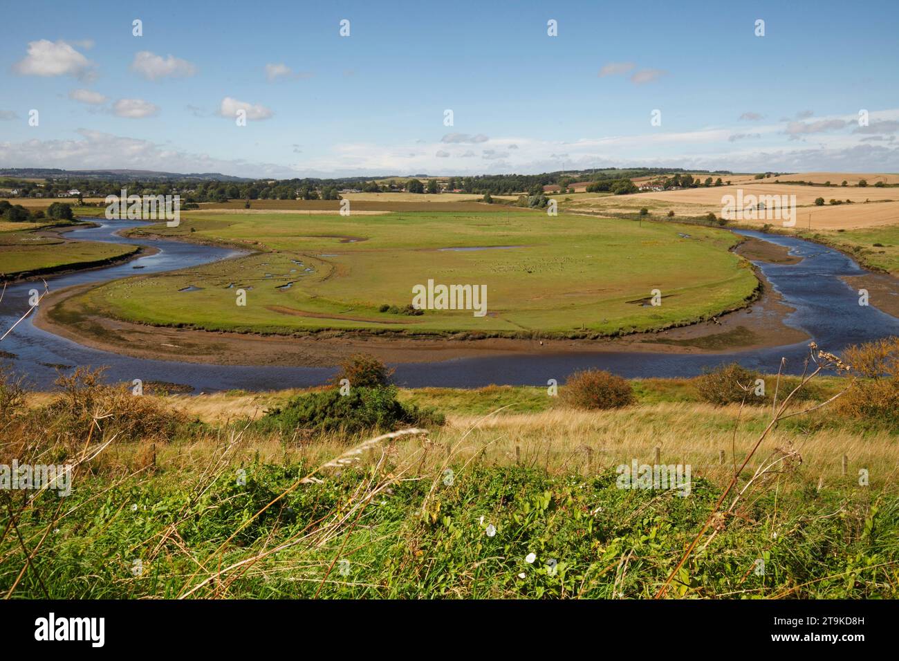 Coude circulaire dans la rivière ALN, près de Alnmouth. Formation du début d'un lac Oxbow. Banque D'Images