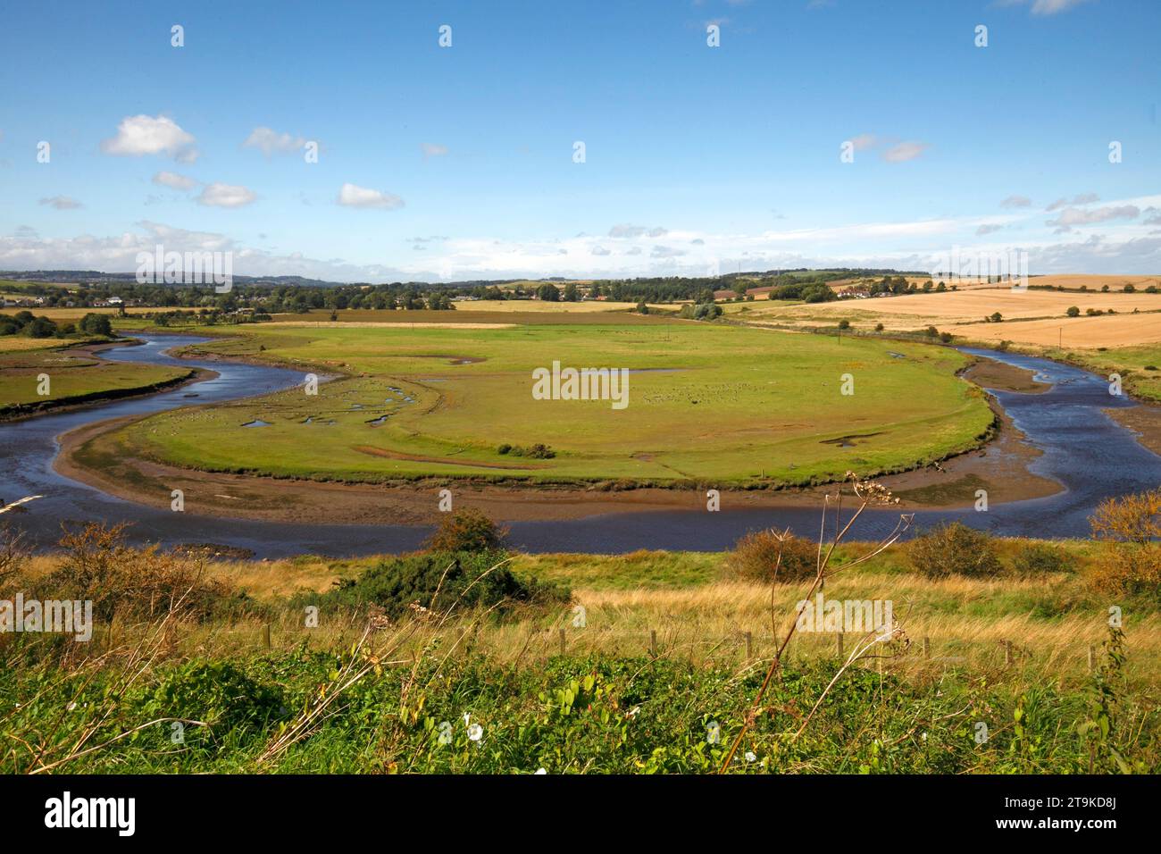 Coude circulaire dans la rivière ALN, près de Alnmouth. Formation du début d'un lac Oxbow. Banque D'Images