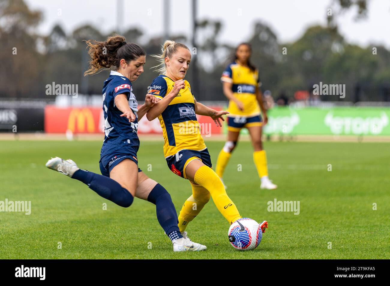 Bundoora, Australie. 26 novembre 2023. Crédit : James Forrester/Alamy Live News Banque D'Images