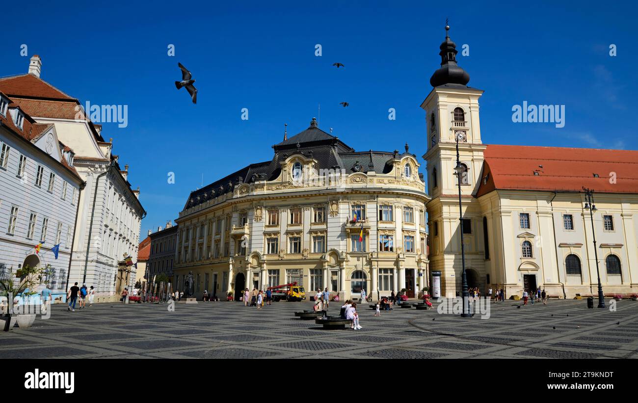 Des colombes volent sur la Grande place, Piața Mare, à Sibiu, Roumanie le 1 août 2023. Photo de Tim Chong Banque D'Images