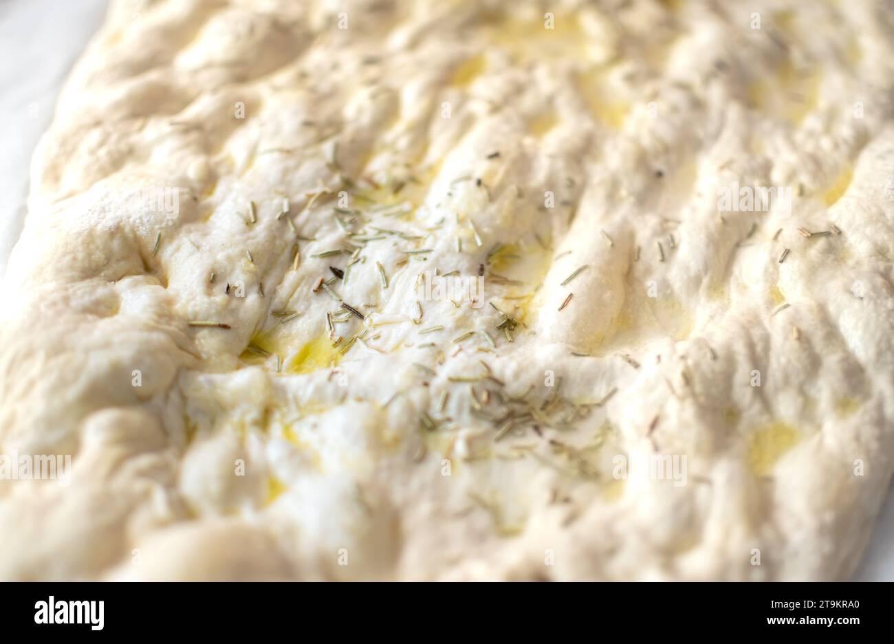 Pâte à pain Focaccia italienne typique avec de l'huile et du romarin sans cuisson Banque D'Images