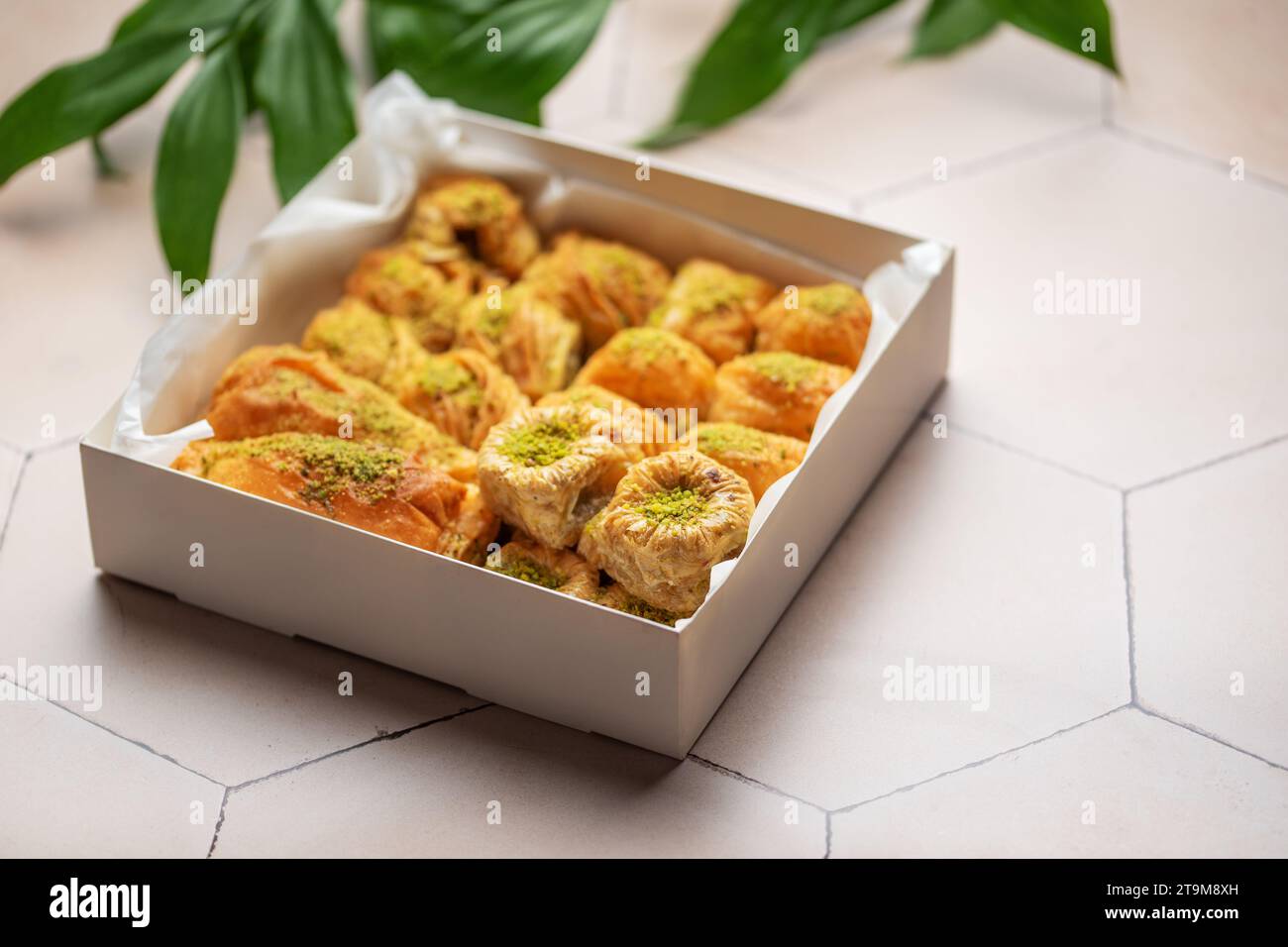 Assortiment de dessert turc baklava dans une boîte Banque D'Images