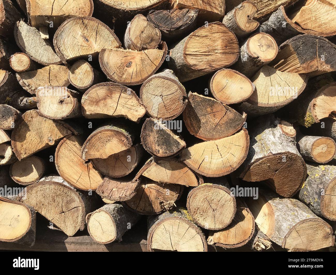 Photo abstraite d'une pile de bûches en bois naturel. Il peut être utilisé comme texture, arrière-plan ou concepts. Banque D'Images