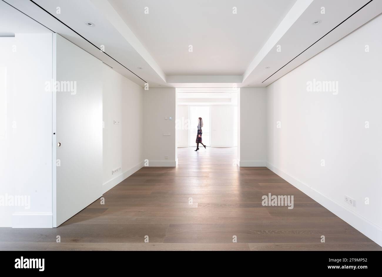 Découvrez le summum de l'élégance et de la sophistication dans ce penthouse de luxe à couper le souffle, situé au cœur de Madrid. Banque D'Images