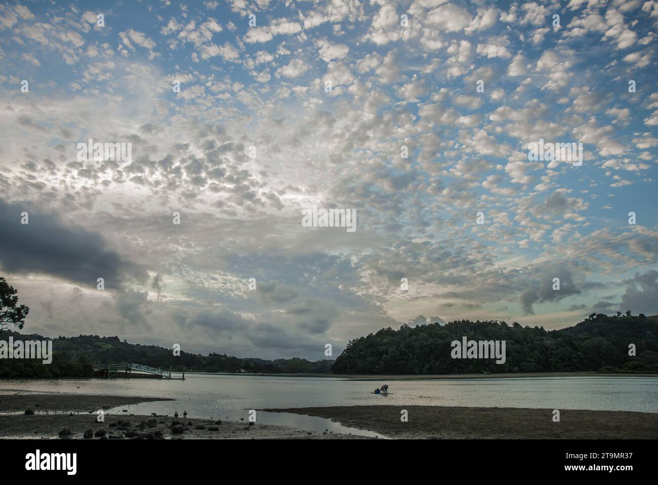 Un ciel spectaculaire au-dessus de la rivière Puhoi au parc régional de Wenderholm, Île du Nord, Nouvelle-Zélande Banque D'Images