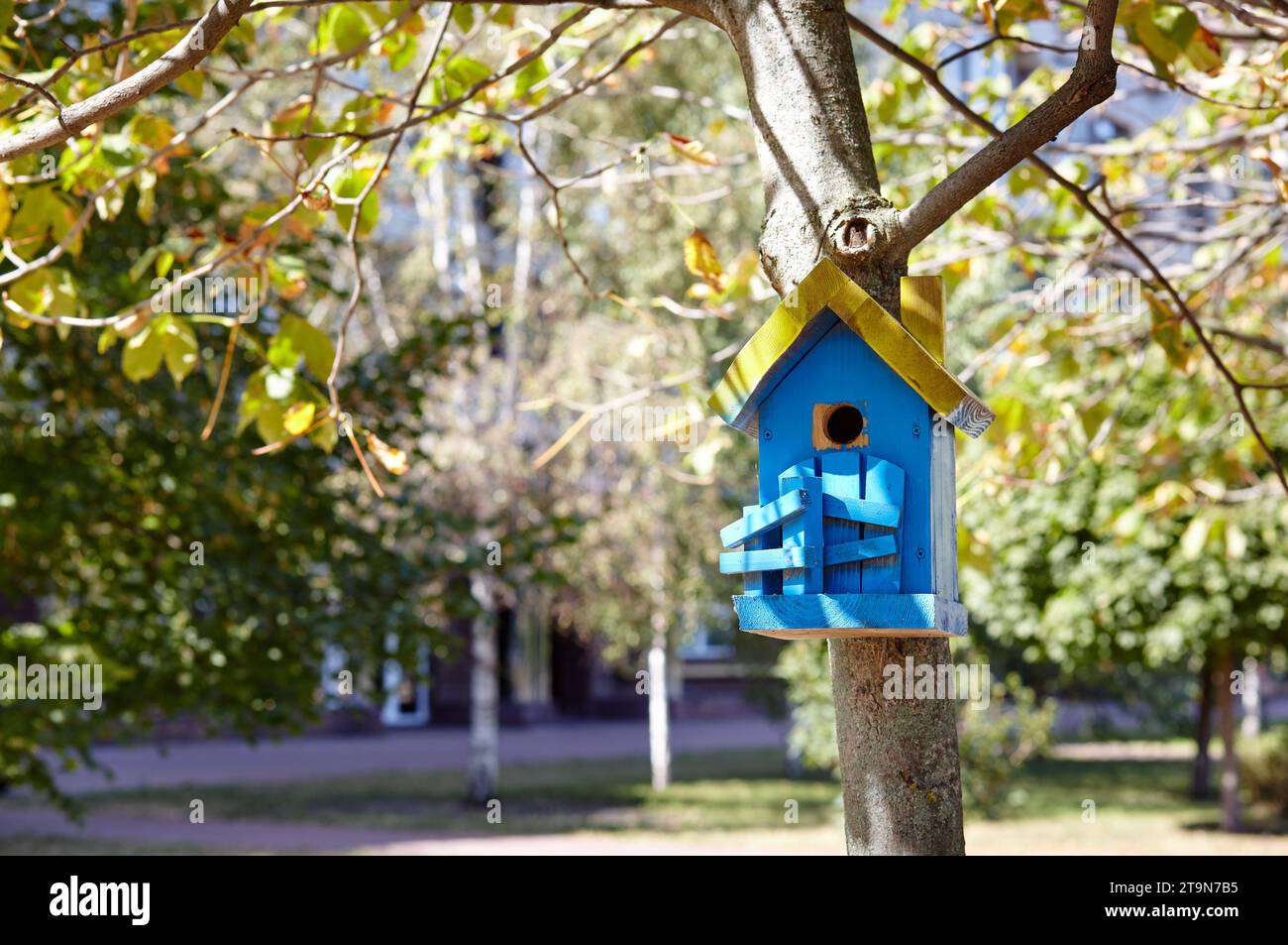 Un nichoir en bois accroché à un arbre. Mangeoire pour oiseaux dans le parc de la ville Banque D'Images