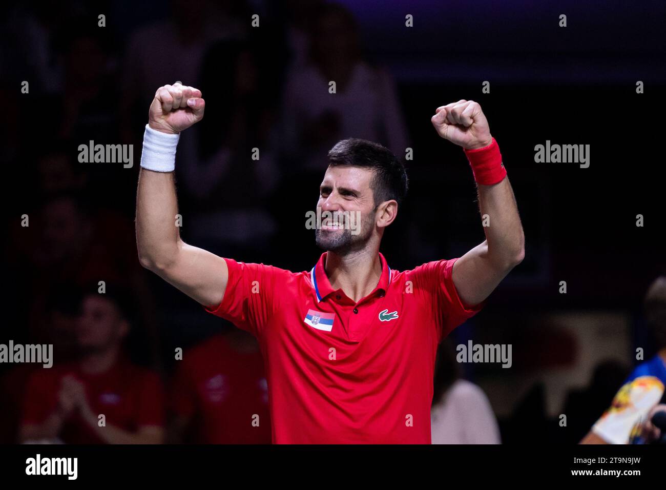 Novak Djokovic de Serbie célèbre lors du match de quart de finale de la coupe Davis entre la Serbie et la Grande-Bretagne au Palacio de los Deportes Jose Maria Martin Carpena à Malaga.Note finale : Serbie 2:0 Grande-Bretagne. Banque D'Images