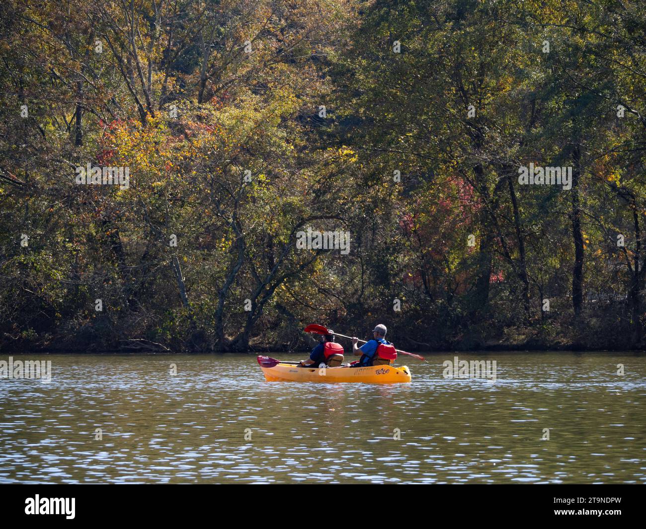 Un homme âgé et une femme âgée faisant du kayak dans un kayak jaune vif avec des pagaies rouges en automne. Le couple est photographié sur la rivière Chattahoochee en A. Banque D'Images