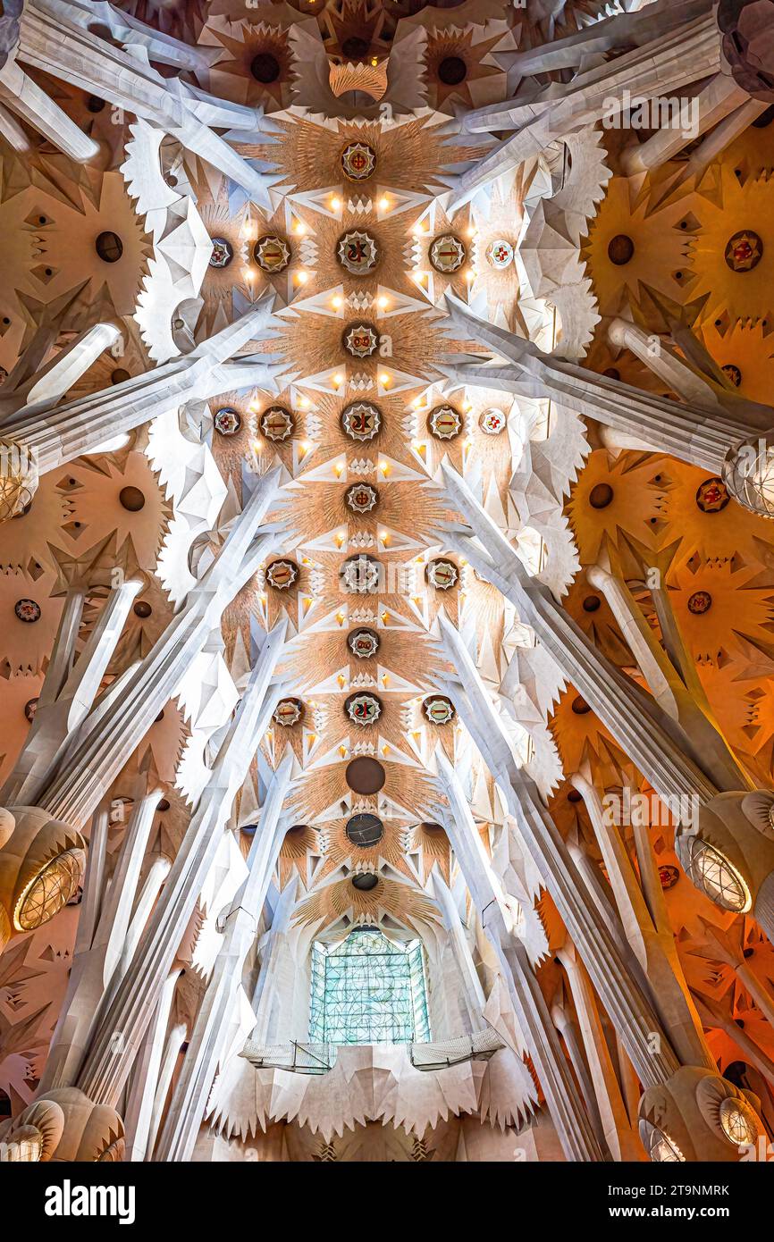 La sagrada familia Barcelone vue intérieure du haut plafond Banque D'Images