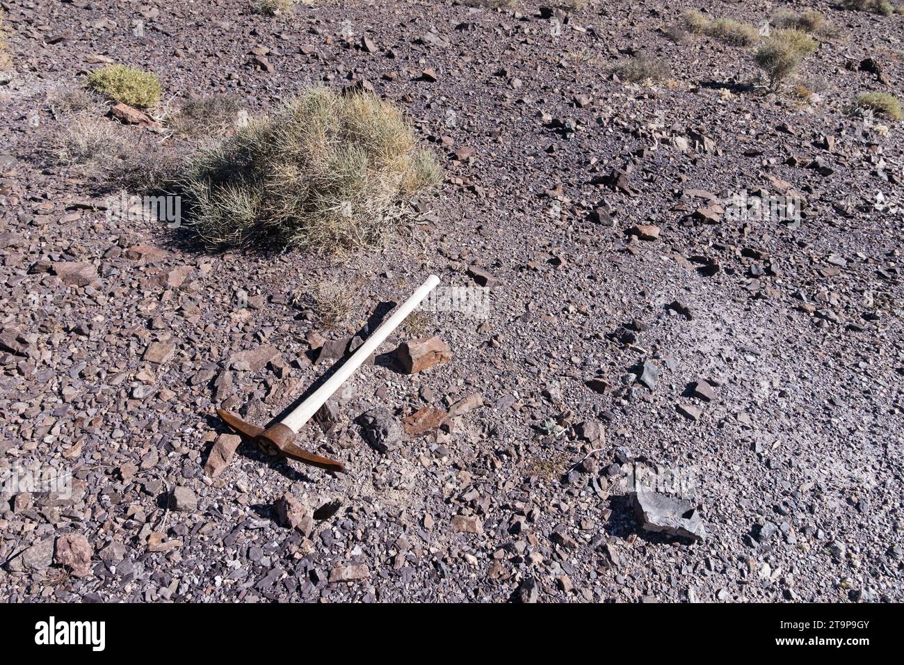 Pioche de vieux mineurs dans le désert du Nevada Banque D'Images