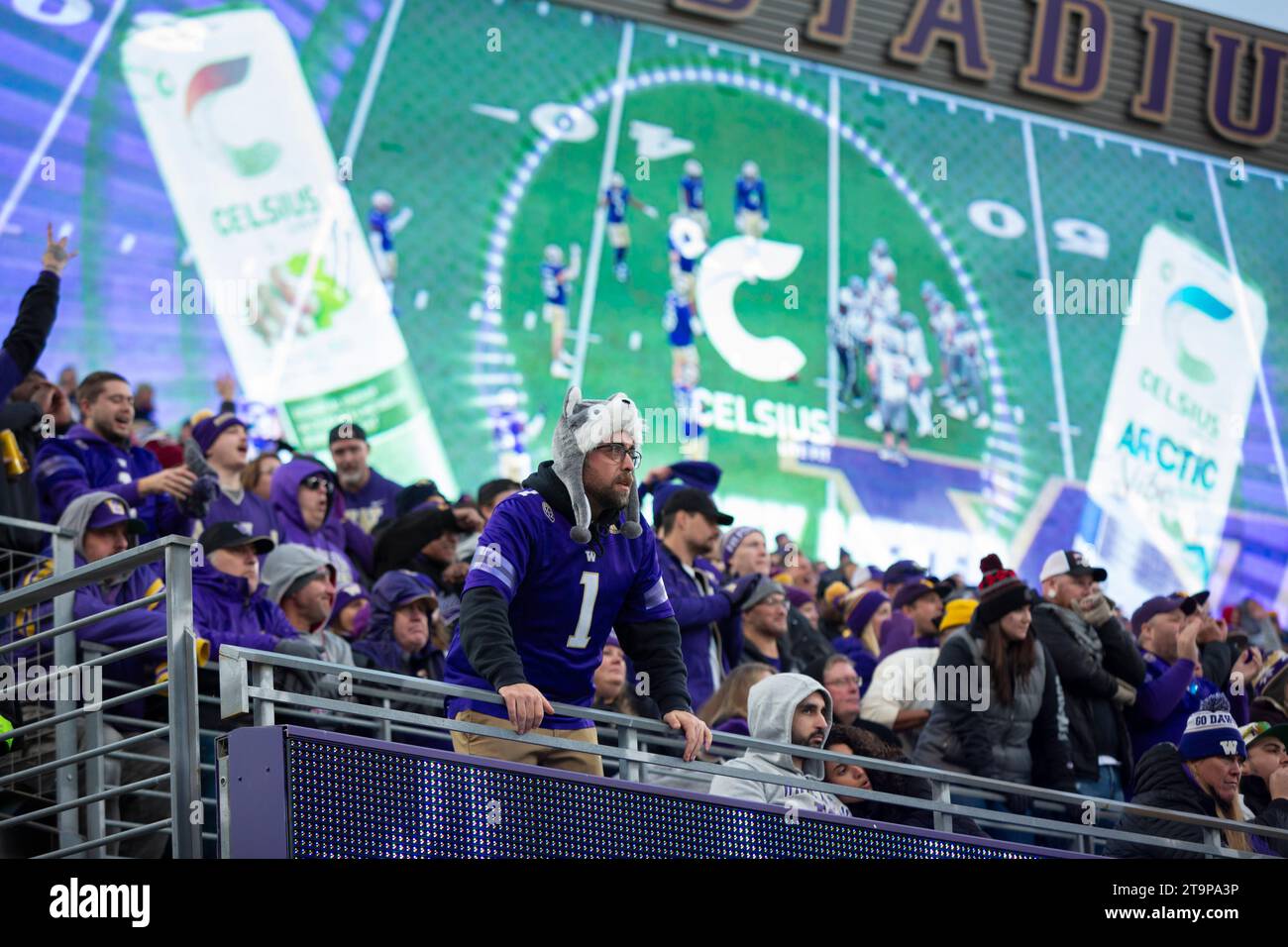 Les fans des Washington Huskies réagissent lors des dernières minutes tendues de la 115e Apple Cup annuelle au Husky Stadium de Seattle le samedi 25 novembre 2 Banque D'Images