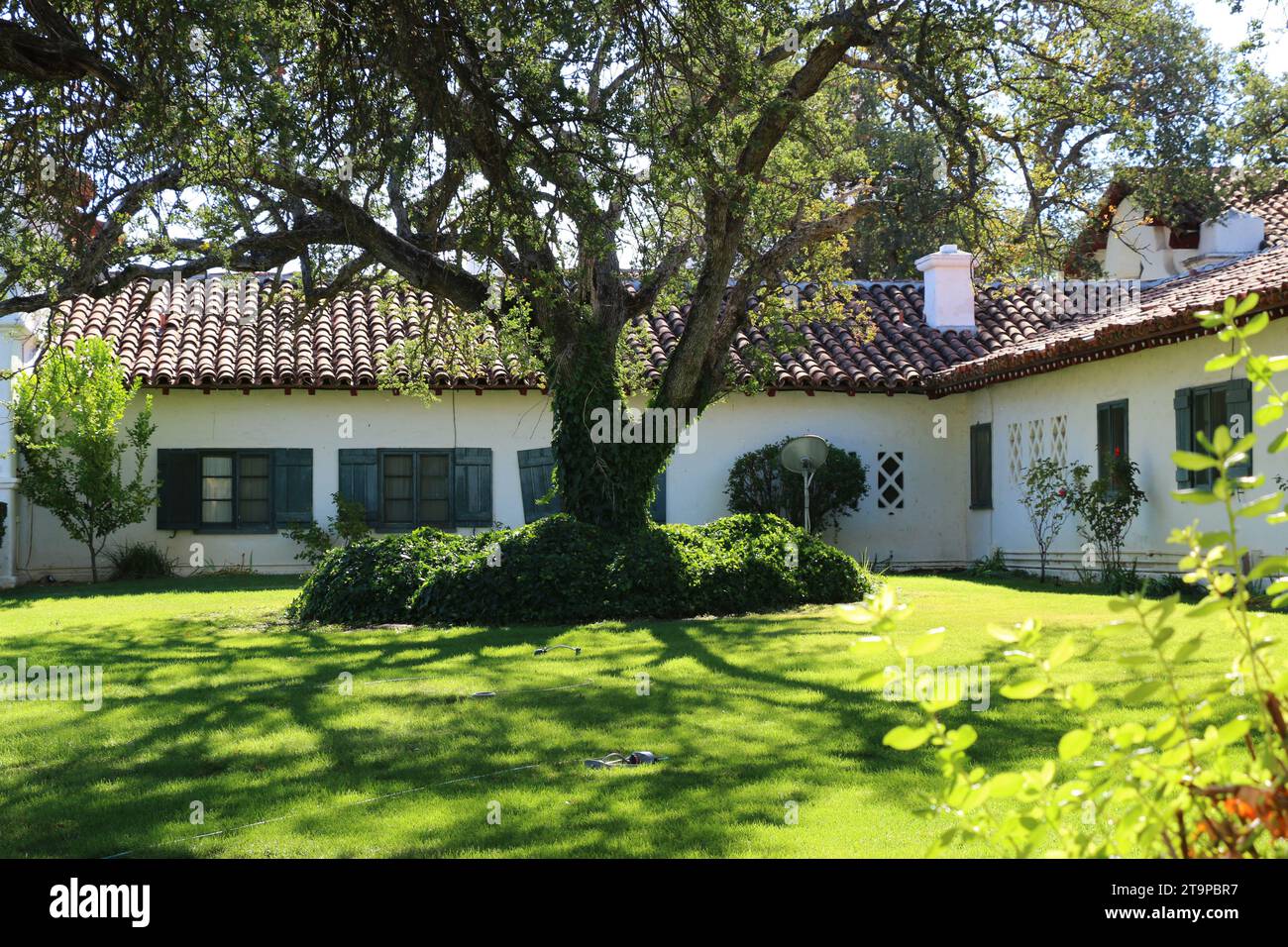 Jolon, Californie, États-Unis - 20 octobre 2023 : chêne devant l'Hacienda, un hôtel historique conçu par l'architecte Julia Morgan pour William R. Hearst. Banque D'Images