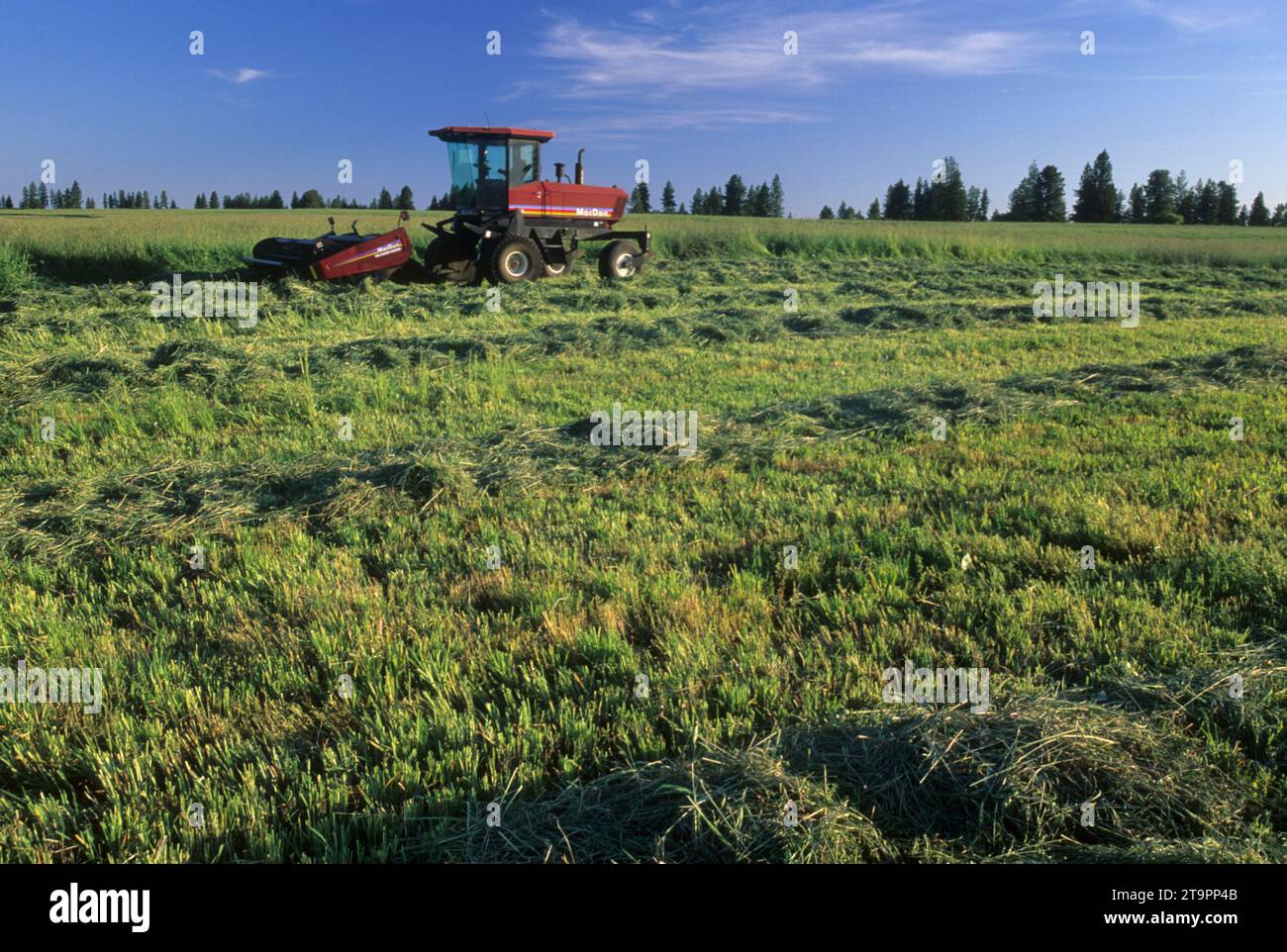 Tracteur, comté de Wallowa, Flora, Oregon Banque D'Images