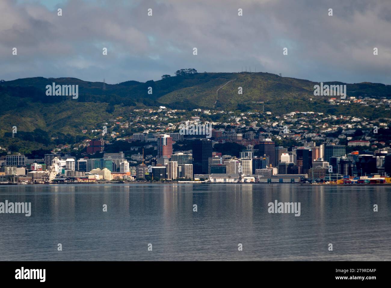 Centre-ville de Wellington depuis Soames Island, Wellington Harbour, North Island, Nouvelle-Zélande Banque D'Images