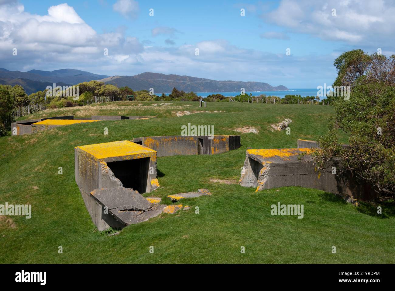 Emplacements de canons de la 2e Guerre mondiale, Matiu/Soames Island, Wellington Harbour, North Island, Nouvelle-Zélande Banque D'Images