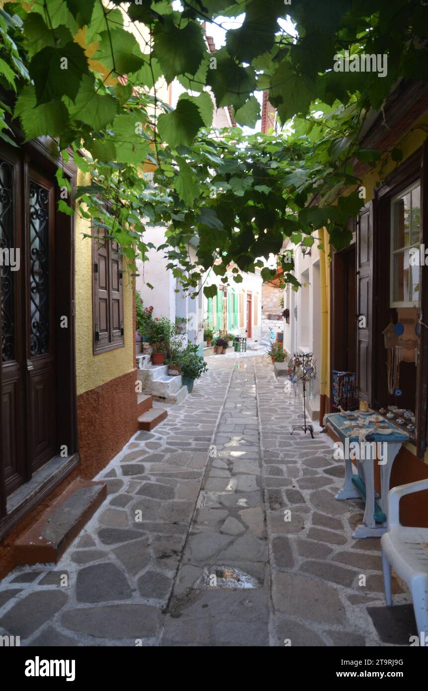 Grèce, Nord Égée, île de Samos les vilagges Pythagoreion, Kokkari et Vourliotes Banque D'Images