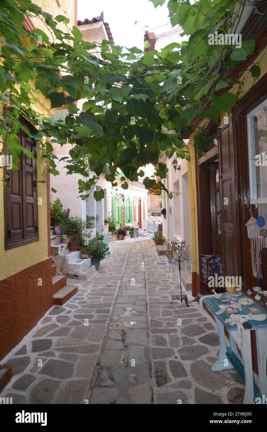 Grèce, Nord Égée, île de Samos les vilagges Pythagoreion, Kokkari et Vourliotes Banque D'Images