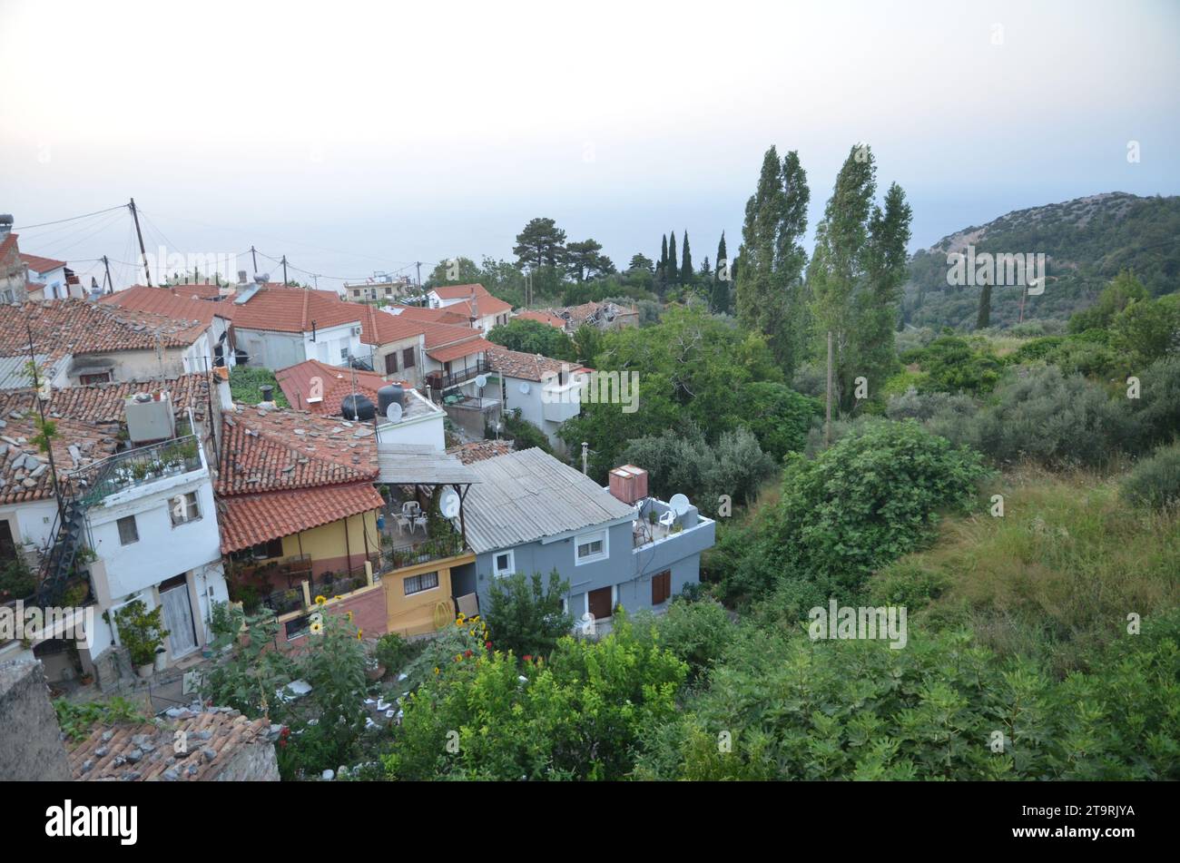 Grèce, Nord Égée, île de Samos les vilagges Pythagoreion, Kokkari et Vourliotes Banque D'Images
