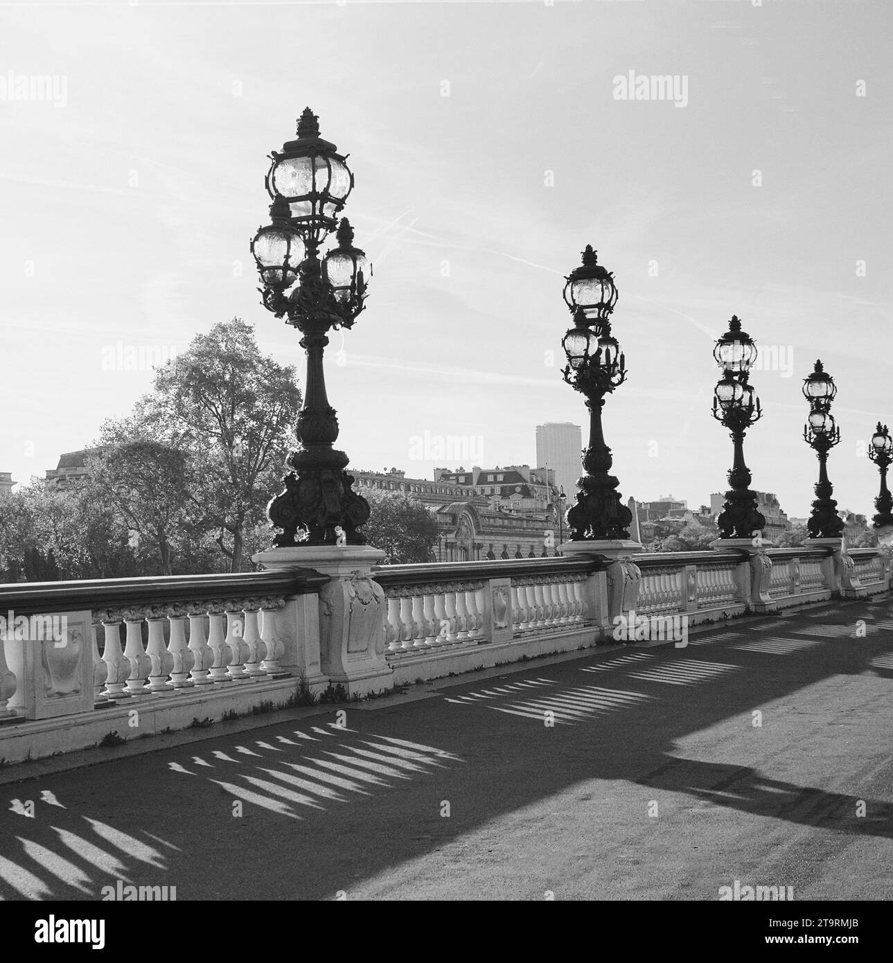 Image en noir et blanc du Pont Alexander pont Paris Banque D'Images