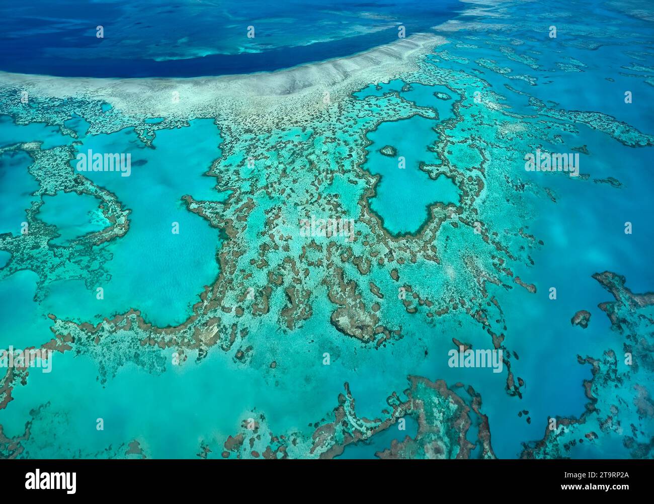 Vue aérienne des récifs coralliens des îles Whitsunday au large de la côte du Queensland, Australie. Banque D'Images