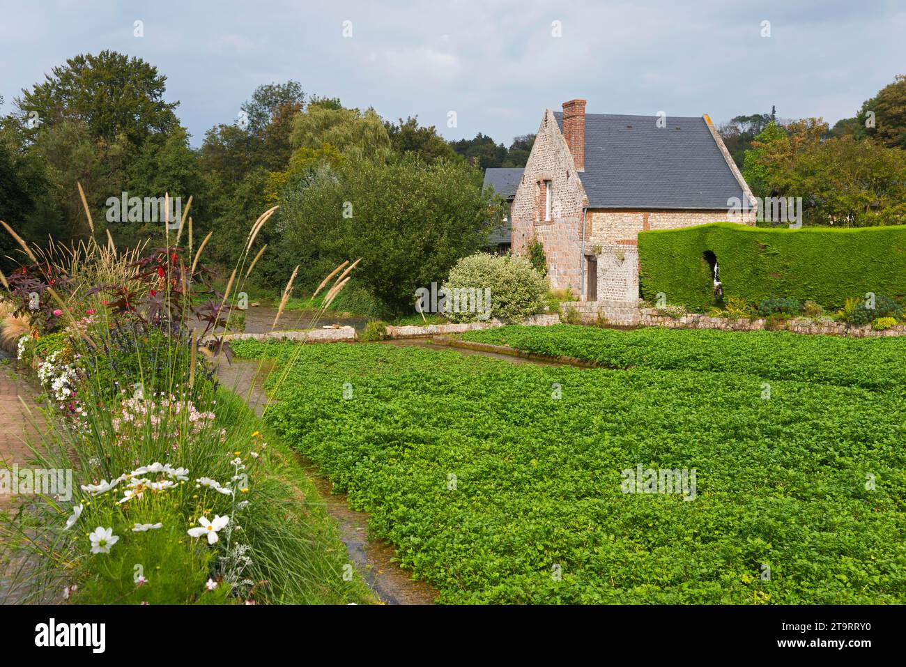 Ancien moulin à eau, Moulin des Cressonnières, moulin à eau sur la