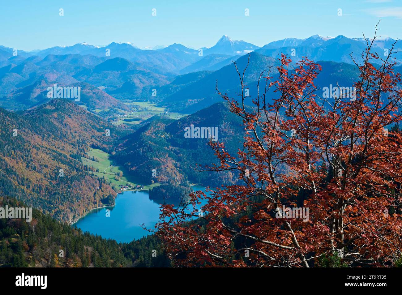 Vue de Herzogstand à Walchensee, Jachenau et Guffert, Walchensee, Kocheler Berge, Préalpes bavarois, haute-Bavière, Bavière, Allemagne Banque D'Images