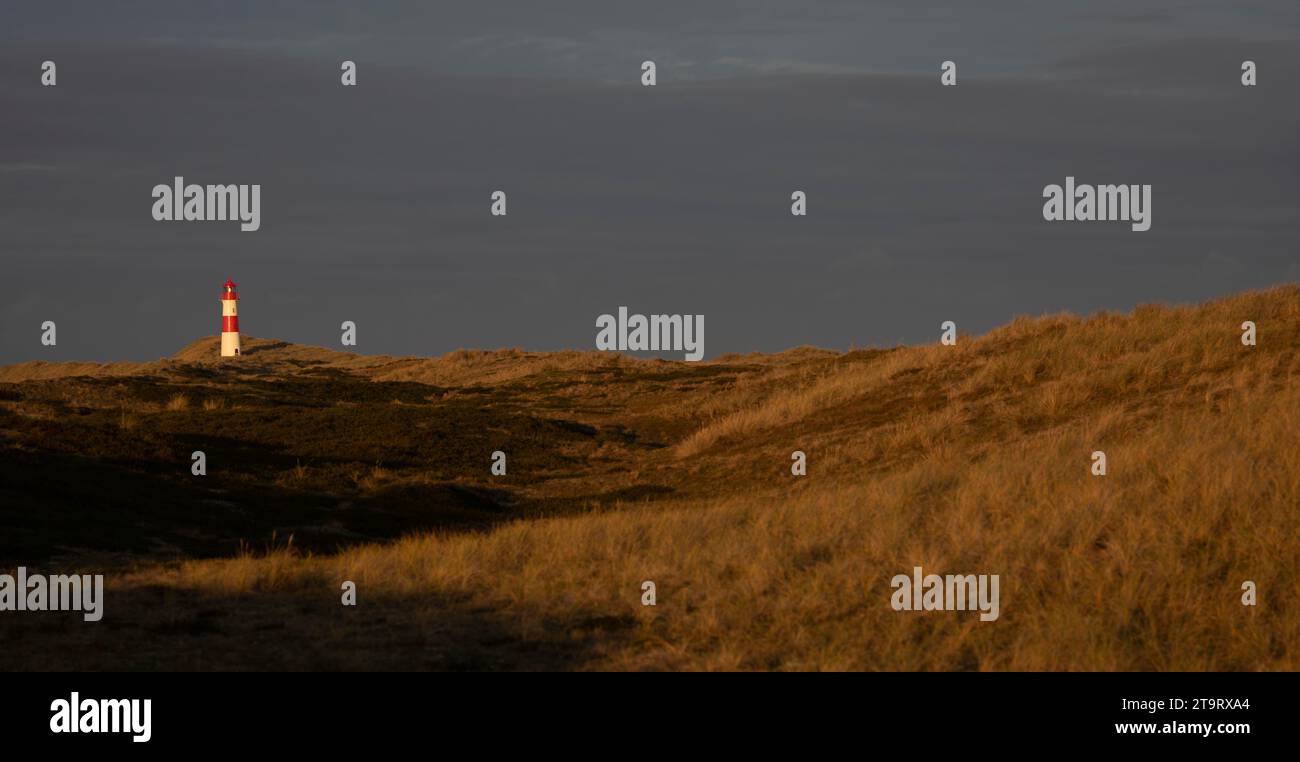 Phare List-Ost, rayé rouge-blanc, dunes, coude, lever du soleil, lumière du matin, List, île de la mer du Nord Sylt, Frise du Nord, Schleswig-Holstein, Allemagne Banque D'Images