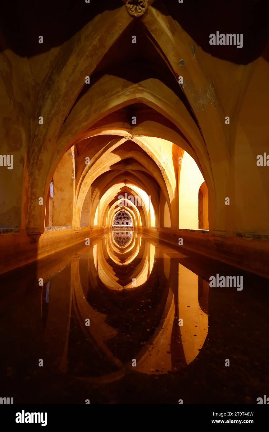 Banos de Maria de Padilla (Maria de Padilla salles de bains) dans le Real ALC‡zar, Séville, Andalousie, Espagne, Europe. Banque D'Images