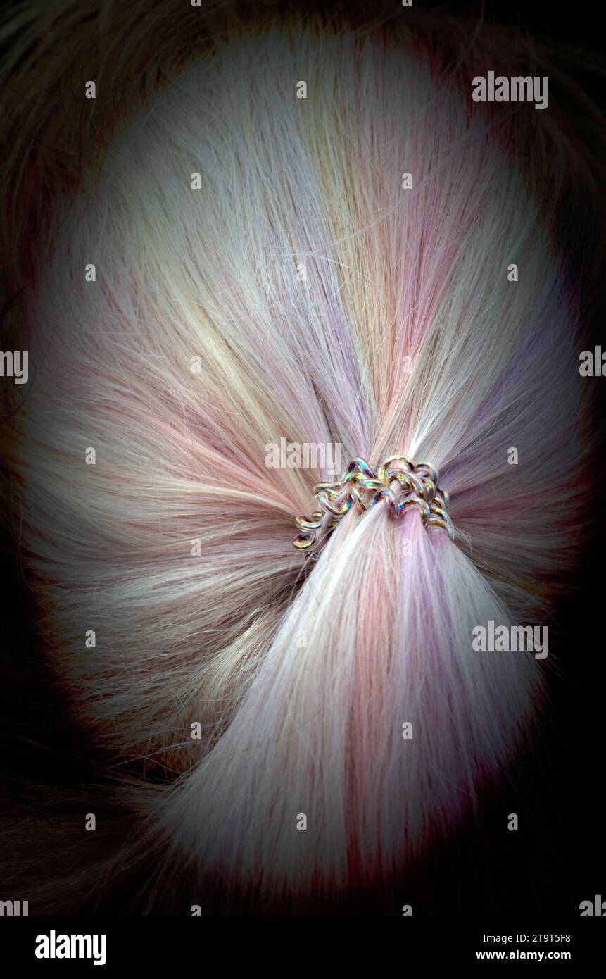queue de poney de femme plus âgée et cheveux colorés Banque D'Images
