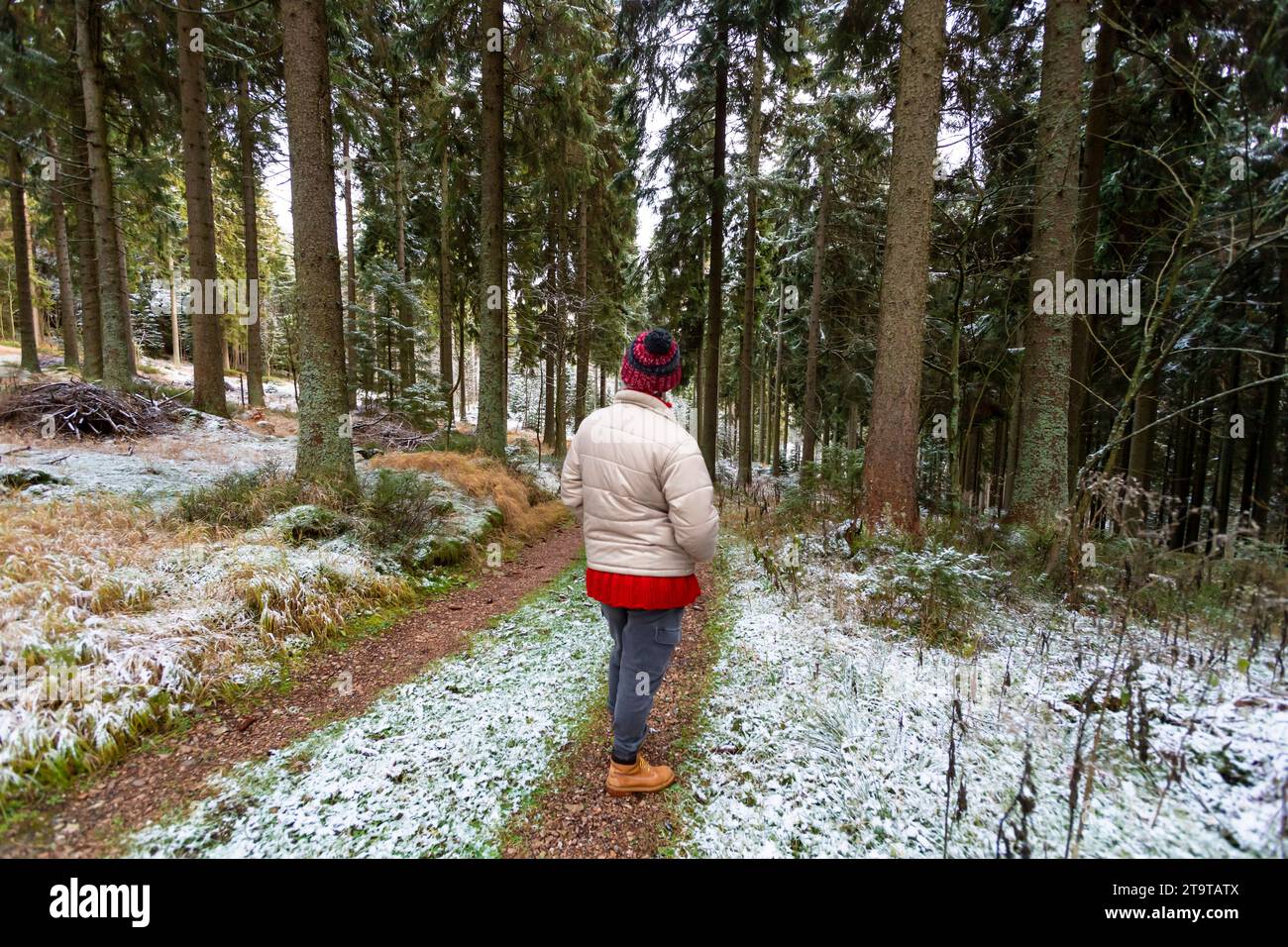 femme avec chapeau de bobble se tenant en arrière de l'objectif dans la forêt d'automne Banque D'Images