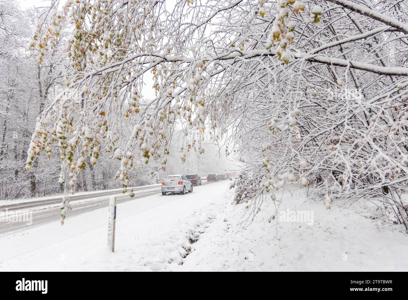 Starke Schneefälle im Taunus BEI starken Schneefällen kommt es auf der Bundesstraße 456 am Saalburgpass zu erheblichen Behinderungen im Straßenverkehr. für die Höhenlagen des Taunus gilt eine Unwetterwarnung vor starkem Schneefall. ACHTUNG : Kennzeichen wurden verpixelt., Bad Homburg Hessen Deutschland *** fortes chutes de neige dans le Taunus en cas de fortes chutes de neige, il y a des obstacles considérables à la circulation routière sur la route fédérale 456 au col de Saalburg Un avertissement de conditions météorologiques extrêmes pour les fortes chutes de neige s'applique aux hautes altitudes du Taunus ATTENTION les plaques d'immatriculation ont été pixelisées Banque D'Images