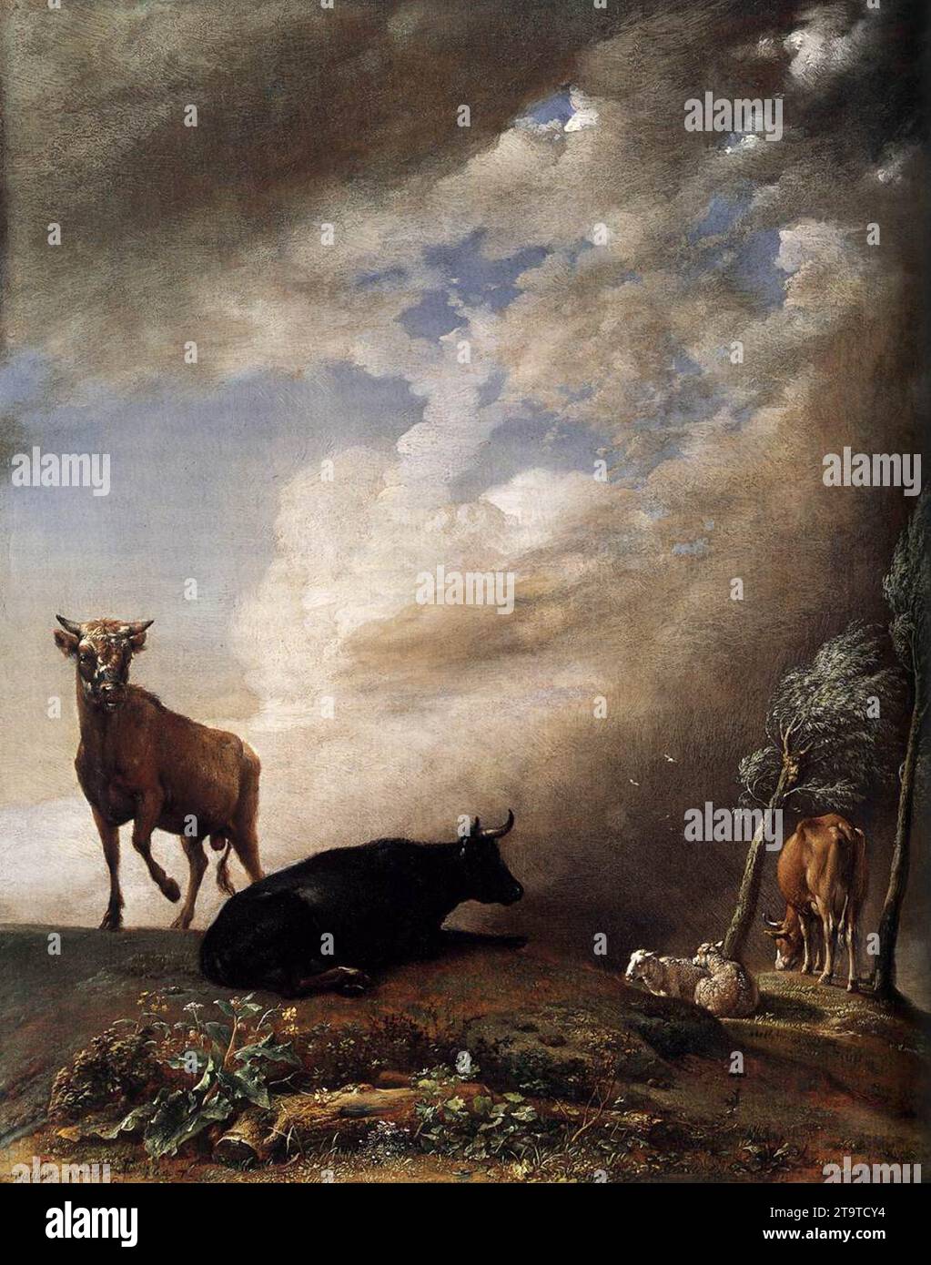 Bovins et moutons dans un paysage orageux 1647 par Paulus Potter Banque D'Images