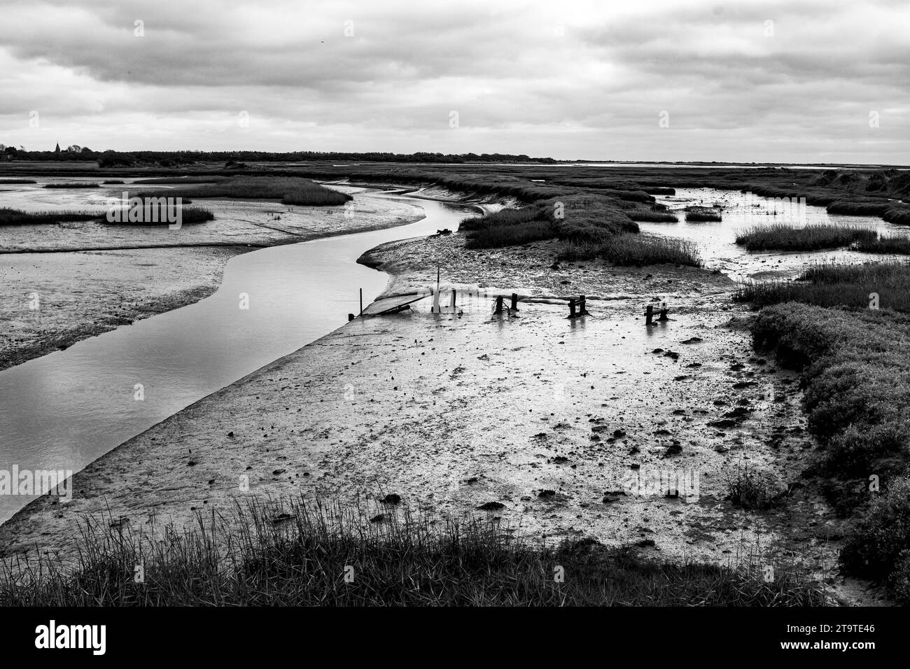 Réserve naturelle de Pagham Harbour RSPB à marée basse un après-midi d'automne , West Sussex , Angleterre Royaume-Uni Banque D'Images